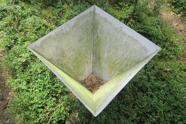 Close-up of a stray fall collector. Close-up of a stray fall collector.