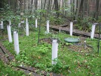 Wägbare Lysimeter in einem Niedermoor mit Grundwassersteuerung