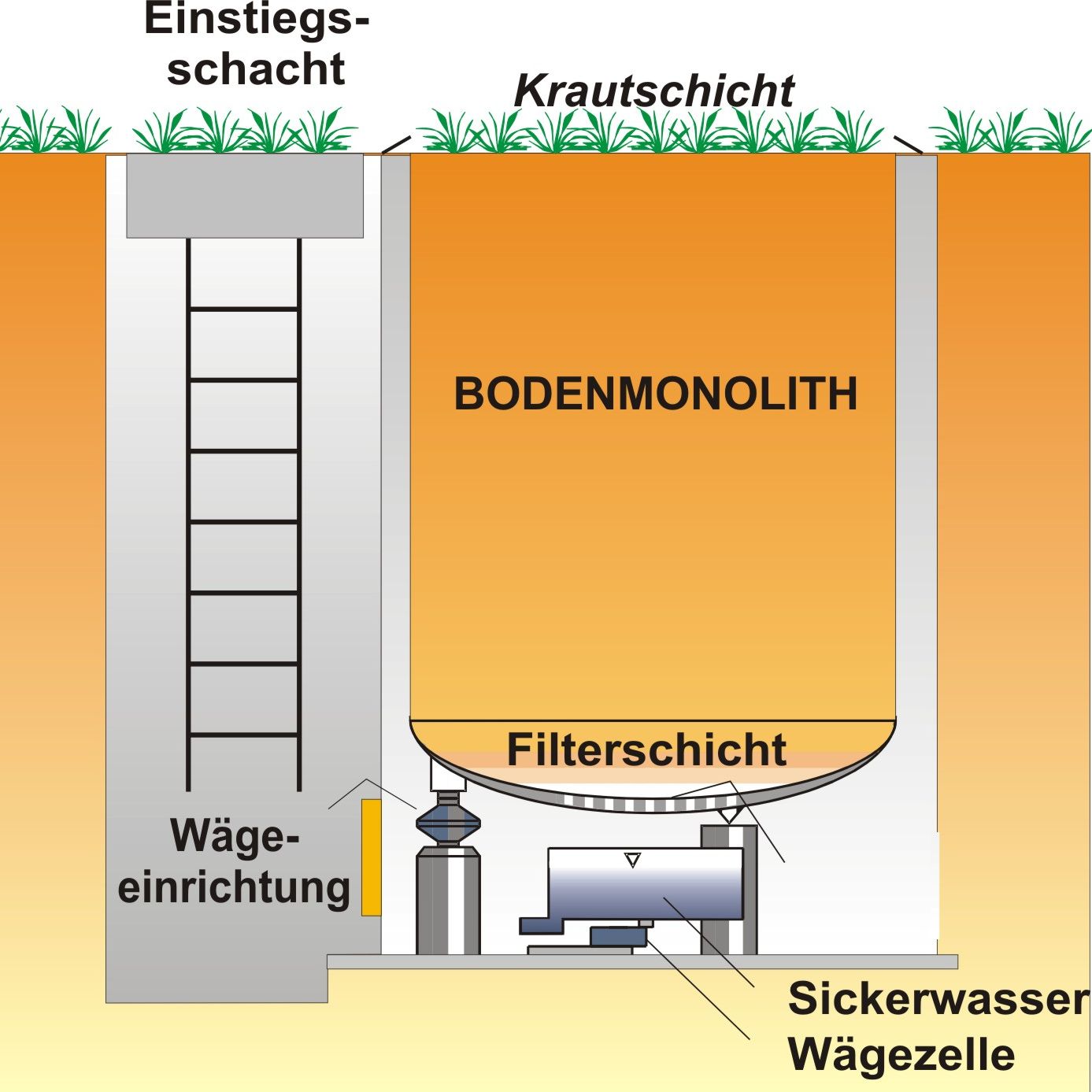 Schematic drawing of a weighable lysimeter