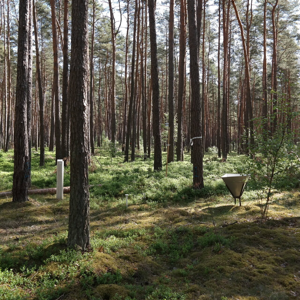 Measuring equipment on a monitoring area.