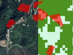 Different land cover types can be distinguished using remote sensing technologies. Remote sensing supports deforestation control