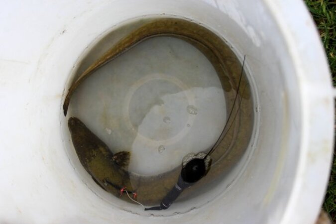 Klicken für eine Vergrösserung