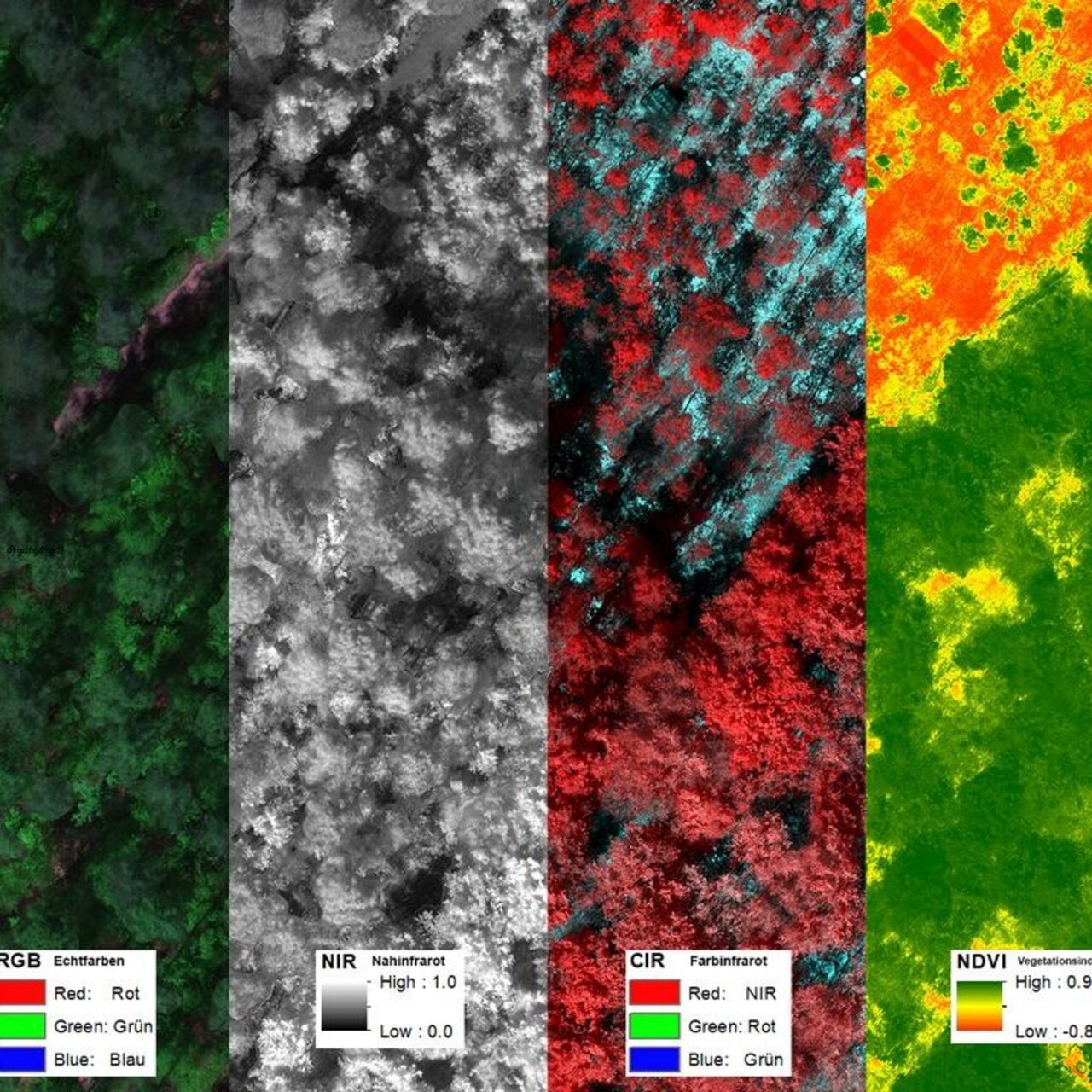 Different bandwidths of an orthophoto