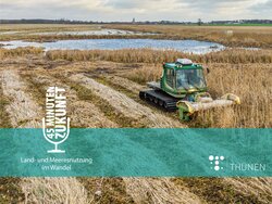 Paludikultur Ernte Folge 18: Wasser marsch – Mit Paludikultur zu einer klimafreundlichen Landwirtschaft auf Mooren?