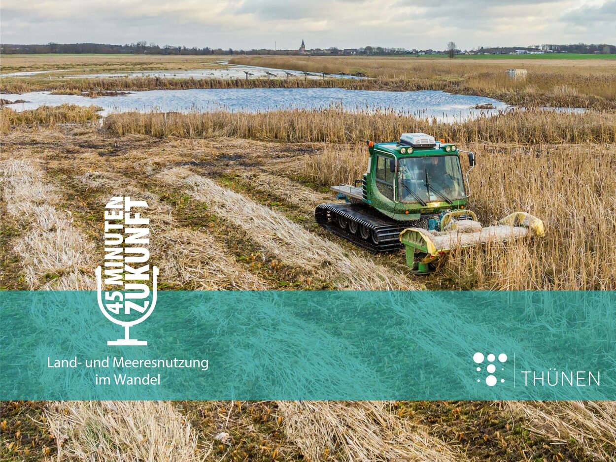 Paludikultur Ernte Paludikultur Ernte