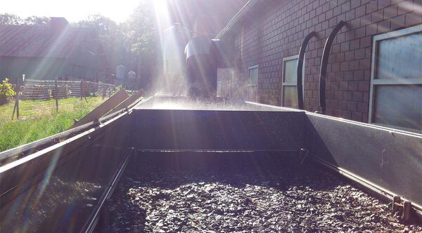 Einstufiger Biofilter zur Abscheidung von Gerüchen aus der Schweinehaltung