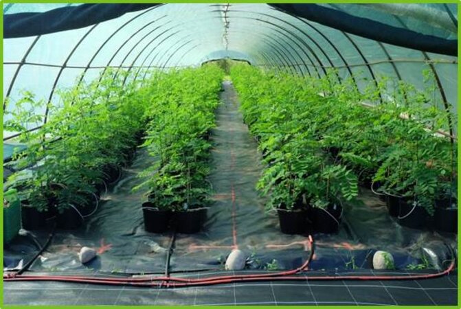 Klicken für eine Vergrösserung