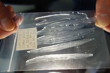 Durchsichtiger Folienbeutel mit mehreren weidenblattförmigen Fischlarven. Der Beutel ist beschriftet.