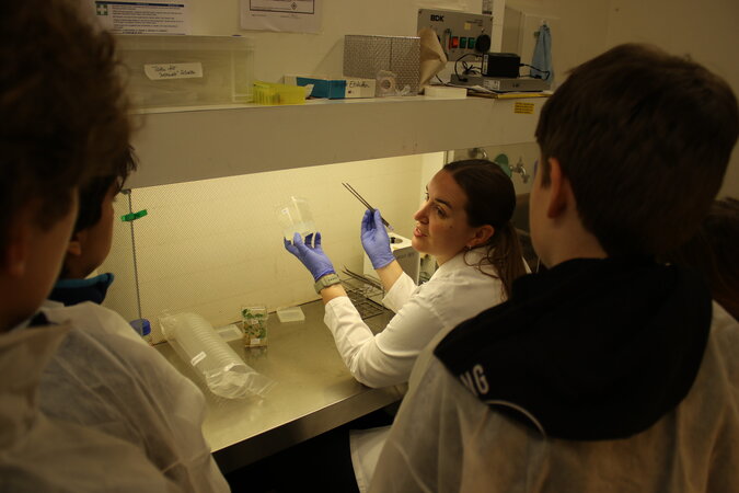 Klicken für eine Vergrösserung