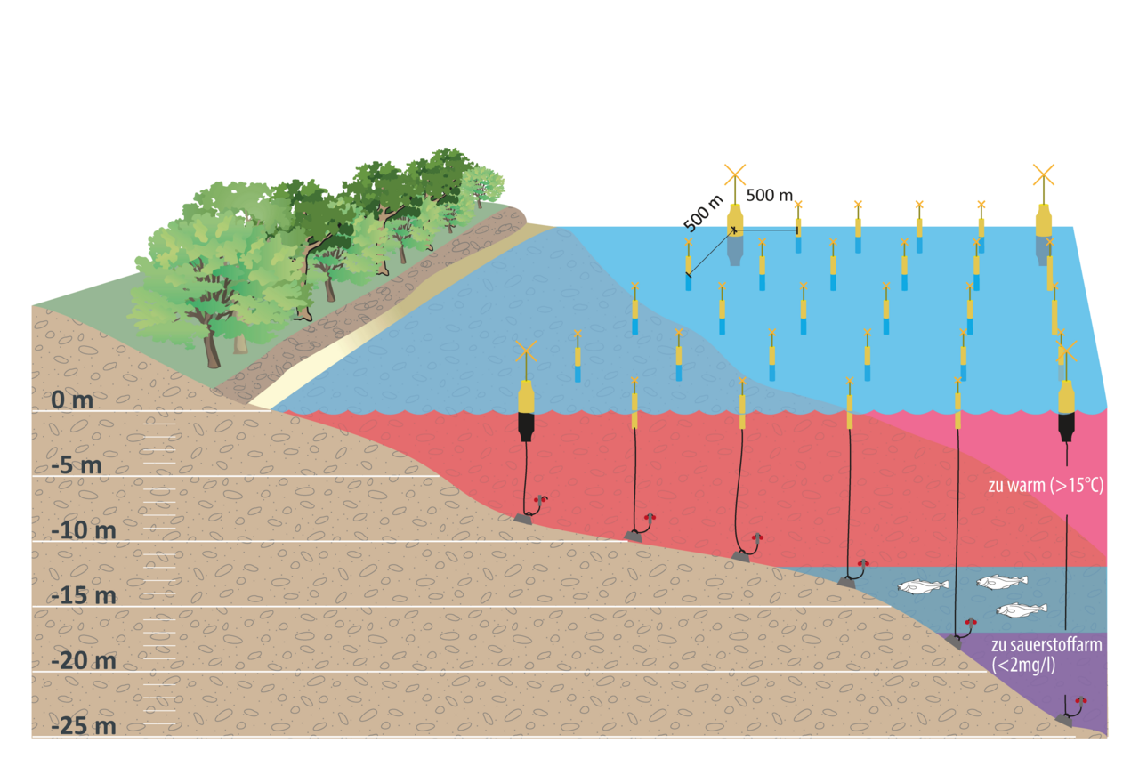 Perspective view of the telemetry field near Boltenhagen