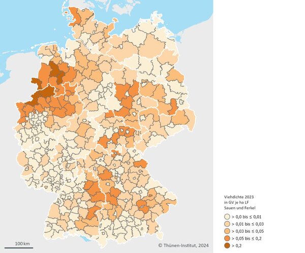 Regionale Verteilung der Mastschweine 2023. Eine Deutschlandkarte zeigt die regionale Verteilung der Mastschweine 2023 mit verschieden farbigen Flächen