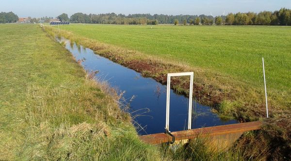 Unterflurbewässerung auf einem landwirtschaftlich genutzten Feld, im Hintergrund Bäume