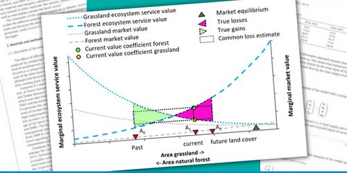 A graphic shows: Comparison of ecosystem service value coefficient functions for grass- land and tropical forest depending on the land area allocated to both LULC types with common ecosystem service value loss estimates.