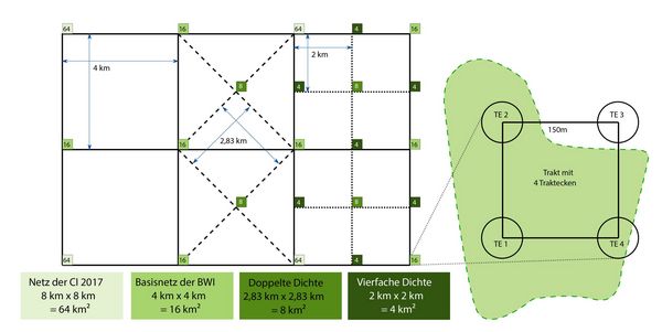 Die Grafik zeigt das Basisnetz der Bundeswaldinventur von 4 mal 4 Kilometern, die Verdichtungen von 2,83 mal 2,83 bzw. 2 mal 2 Kilometern sowie das Stichprobennetz der Kohlenstoffinventur von 8 mal 8 Kilometern.toffinventur wird auf einem Raster von 8 x 8 Kilometer erhoben.
