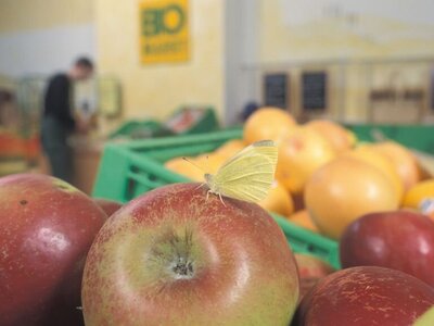 Obst im Bio-Supermarkt.