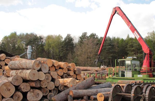 Holzverarbeitung im Sägewerk