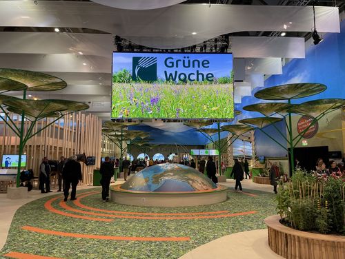 Blick in die Messehalle mit einem großen Monitor auf dem Grüne Woche steht.