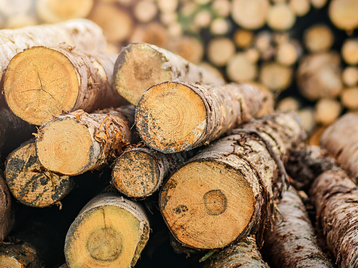 Biomass strategy: How much wood can still be used for energy?