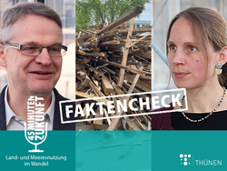 FAKTENCHECK: Holznutzung
