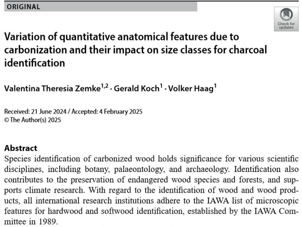 Ausschnitt der Publikation aus dem Woodscience and Technology Journal.