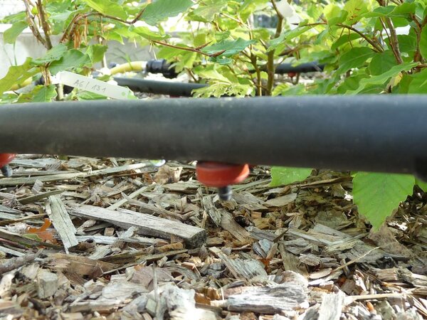 Klicken für eine Vergrösserung Detailed picture of the low-pressure irrigation system.