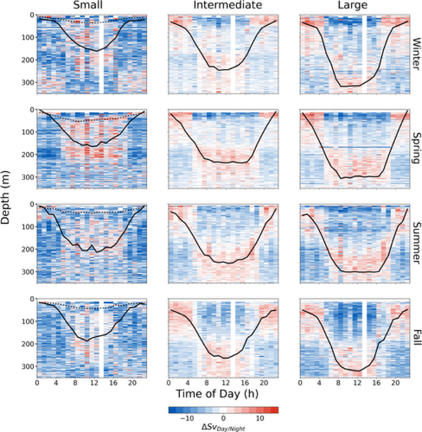 Vertical migrations Size dependent, seasonal vertical migration of zooplankton based on acoustic information collected by Zooglider