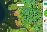 Interaktive Online-Karte der landwirtschaftlichen Nutzung und daraus abgeleiteter Indikatoren der Habitatvielfalt Satellitenkarte des Landkreises Dithmarschen, Schleswig-Holstein, mit Landnutzungsarten in verschiedenen Farben.
