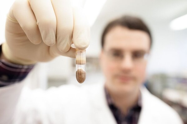 Zusammen mit zwei Stahlkugeln wird das Gefäß unter hohen Umdrehungen zentrifugiert. Dadurch wird das Holzmaterial so zerschlagen, dass die Zellverbände zerstört werden und die DNA isoliert werden kann. Ein Mitarbeiter hält das Glas mit der zerkleinerten Zellstruktur nach vorn.