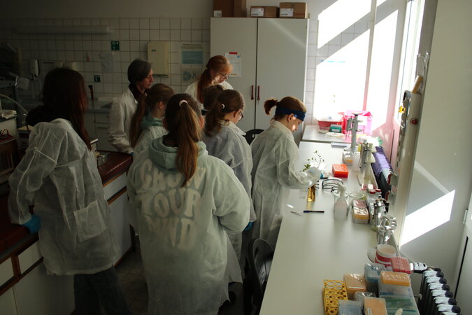 Klicken für eine Vergrösserung