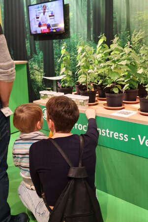 Klicken für eine Vergrösserung