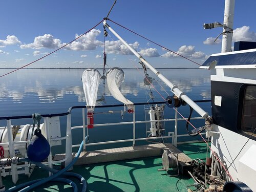 Bongo-Netz zum Fischplanktonfang vor dem Einsatz. Bongo-Netz für den Fang von Fischplankton, bereit für den Einsatz auf einem Forschungsschiff.