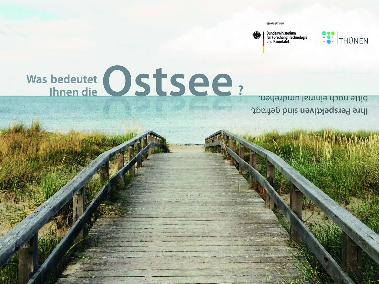 Das Postkartenmotiv ist ein MOtiv von einem Steg der über Dünen zum Strand und zur Ostsee führt.