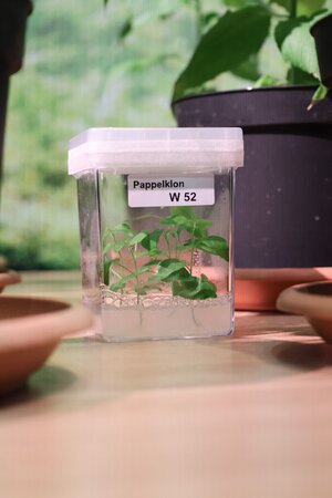 Klicken für eine Vergrösserung