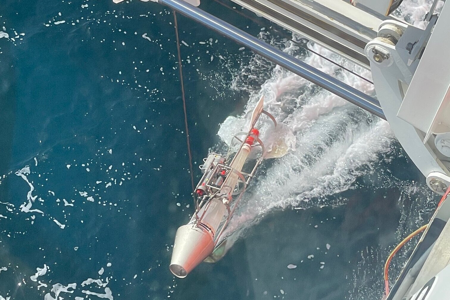 "Nackthai" an der Oberfläche The “Nackthai” plankton catching device on the water surface.