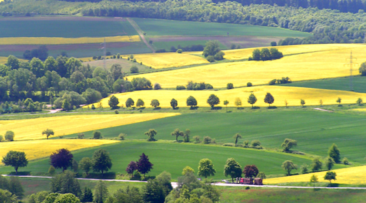 Agrarian landscape near Schönhagen at the Baltic Sea