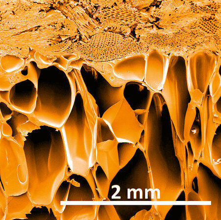 Klicken für eine Vergrösserung