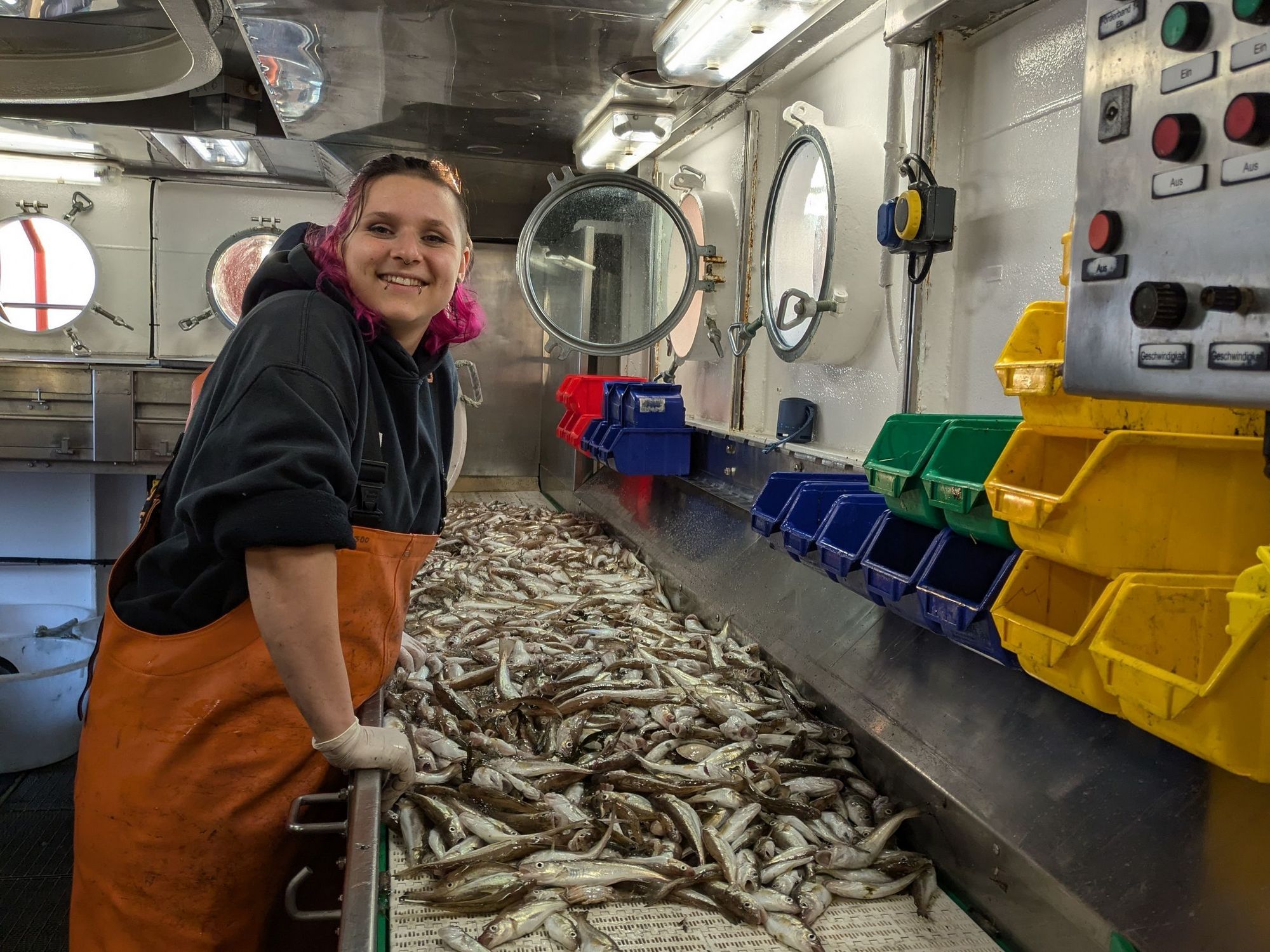 Ein Fischlabor auf einem Schiff mit einer Mitarbeiterin vor einem Tisch mit gefangenen Fischen, die sortiert und gezählt werden.