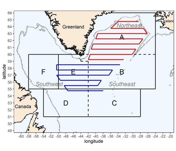 Figure 1: The cruise tracks (transects) of the two nations participating in the 2024 survey. The northern part (red lines) is sampled by Iceland and the southern part (blue lines) by Germany. The survey area is divided into sub-areas A to F.