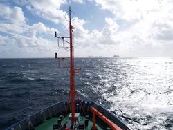 MESMO - Modellierung der Effekte radioaktiver Stoffe auf marine Organismen