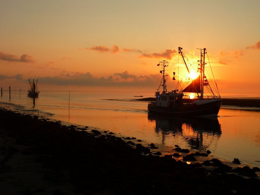 Morgendliches Einlaufen der Kutter nach erfolgter CRANNET-Fangreise