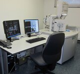 Feldemissions Raster Elektronenmikroskop