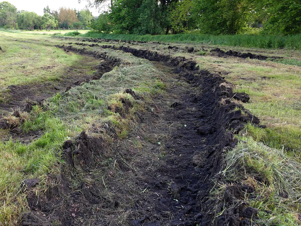 Grünland auf entwässerten Moorböden gehört zu den größten Emittenten von Treibhausgasen. Grünland auf entwässerten Moorböden.