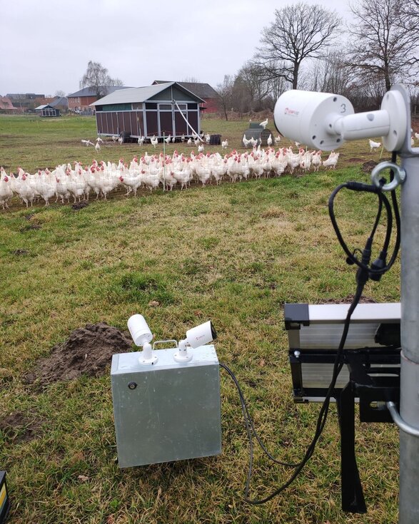 Kamera im Auslauf Kamerainstallation in einem Geflügelauslauf