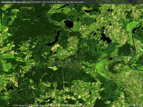 Das Bild zeigt eine bearbeitete Satellitenaufnahme, auf der Waldfläche zu erkennen ist.