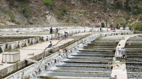 Durchflussanlage zur Aufzucht von Forellen in der Türkei