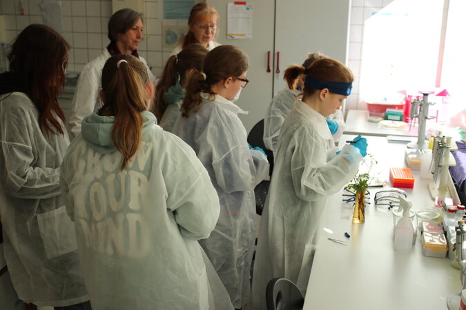 Klicken für eine Vergrösserung