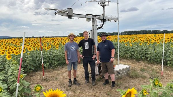 Das Team neben einem Eddy-Messturm inmittel eines Sonnenblumenfeldes