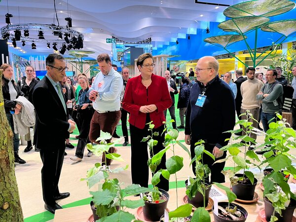 Klicken für eine Vergrösserung