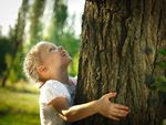 Kleines Mädchen umarmt einen Baum und schaut nach oben