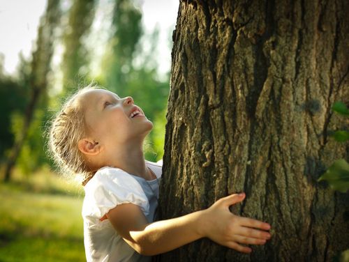 Kleines Mädchen umarmt einen Baum und schaut nach oben